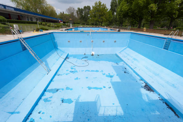 Best Local water damage restoration  in Argentine, MI