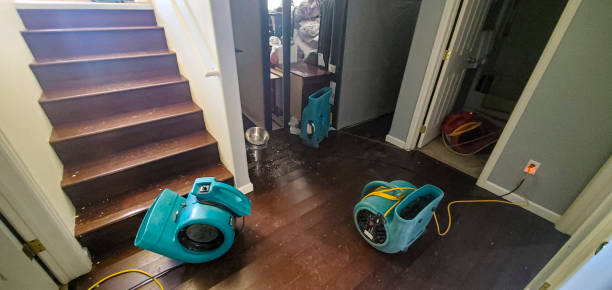 Best Emergency water damage restoration  in Argentine, MI