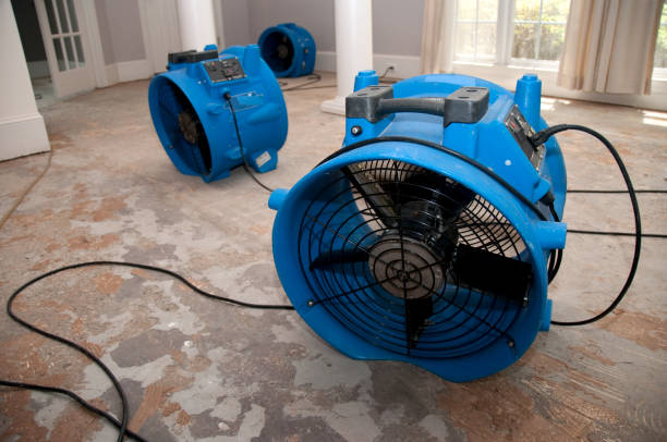 Best Fire Damage Restoration  in Argentine, MI