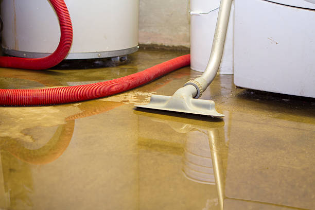 Best 24-hour water damage restoration  in Argentine, MI